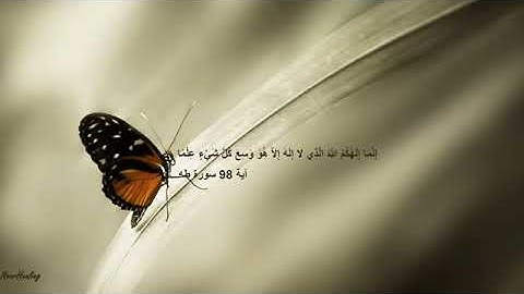 Relaxing Recitation of Surah Taha for Stress Relief and Healing Relaxation by Ismail Annuri