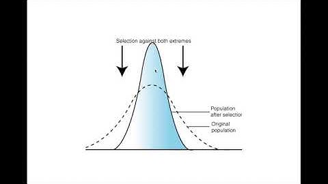 IMAT Biology - Inheritance & Environment Part 3