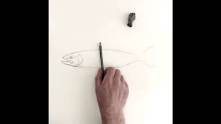 How to draw a trout in 10 minutes