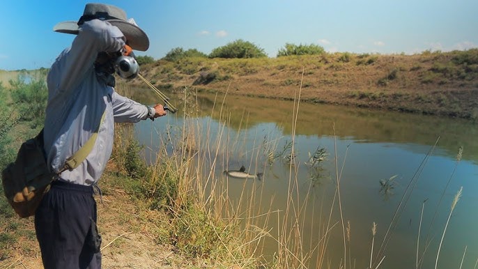 Тек менің кисканыма кіргізбе.