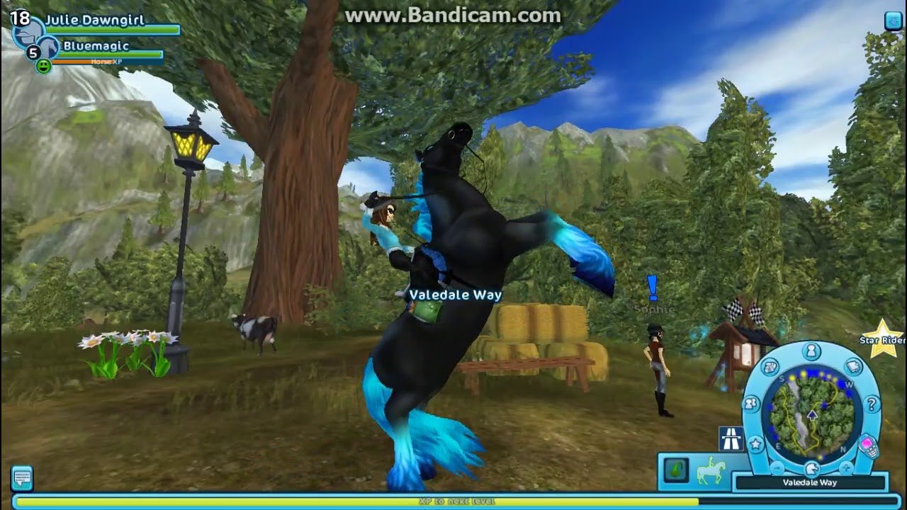 MY BROTHER PLAYS STAR STABLE! | Star Stable Online