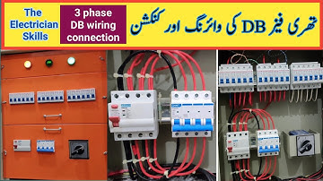 Three phase db box connection | Three phase distribution board wiring | The Electrician Skills