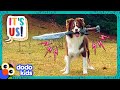 Sword Dog And Stick Dog Will Conquer The World! | Dodo Kids | It&#39;s Me!