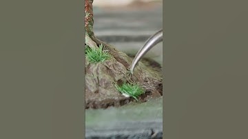 grass wip164 #diorama164 #diy #scale #164 #164scale