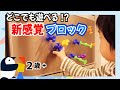 [知育おもちゃ]お風呂でも遊べる新感覚ブロック「ピタリコ Pita-Rico」【2歳＋】【知育効果レビュー】