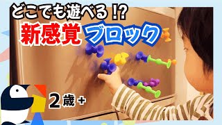 [知育おもちゃ]お風呂でも遊べる新感覚ブロック「ピタリコ Pita-Rico」【2歳＋】【知育効果レビュー】