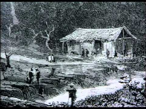 CHRONIQUE DE L'OCEAN INDIEN - MALOYA LES RACINES D...