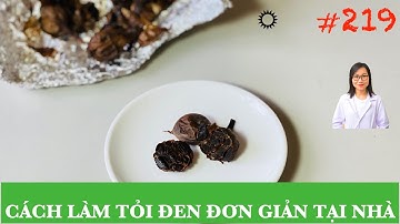 #219. CÁCH LÀM TỎI ĐEN ĐƠN GIẢN TẠI NHÀ