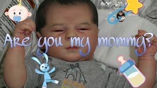 Baby Needs A New Home! Reborn Baby For Sale! Baby That Cries and Never Grows Up!