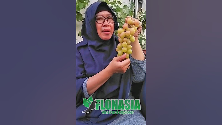 basanti #grape Kebun Bu Ita +62 857-1999-6619 #anggurisme #kebunanggur #grapeaddict