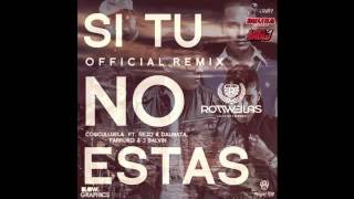 Si Tu No Estas Remix   Cosculluela Ft  Ñejo y Dalmata, Farruko   J Balvin  Reggaeton 2011    YouTube