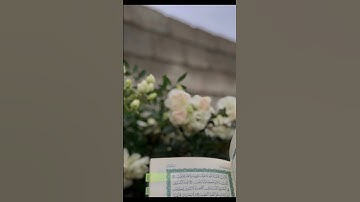 قران كريم سوره يس 🌱 #اكسبلور_فولو #لايك #حالات #اكسبلور