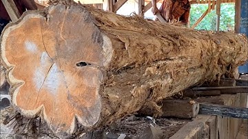 Sawing the most terrifying giant monster teak wood in the sawmill 