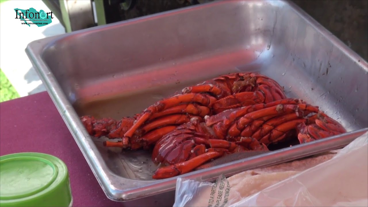 STEAK & LOBSTER FESTIVAL EN PLAYAS DE ROSARITO YouTube