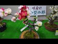 第49回日本ボケ展 (2026.02.27)