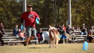 Naoya & Ret | USDDN World Finals by Dogs in Lens 3,027 views 4 years ago 2 minutes, 17 seconds