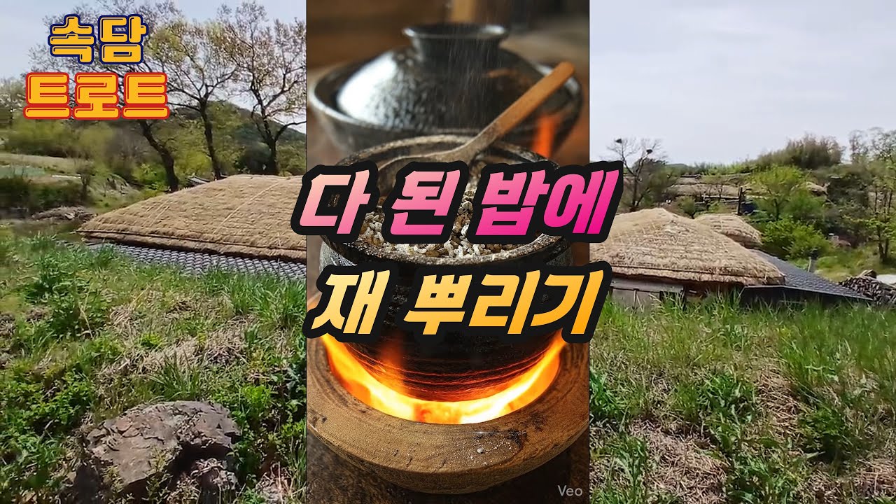 [속담트로트] 다 된 밥에 재 뿌리기 - YouTube