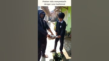 Praktek Menyembeli hewan ternak - Ayam #shorts #shortvideo