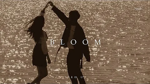 Troye Sivan - Bloom (Sped up)