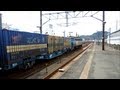 JR貨物 EF200-9号機[吹](代走) 貨物列車1055レ【リースバン 20ft海コン積載!!】