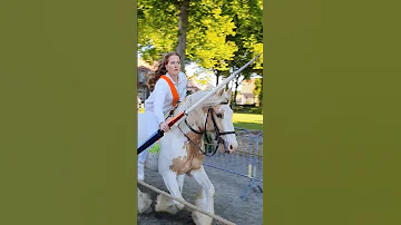 ?? Ringrijden Grijpskerke ????  Nederland @TravelwithHugoF  #ringrijden #horses #grijpskerke