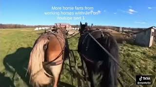 Jim Video Part.1 - Horse Fart Nr.22