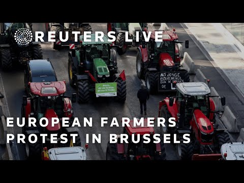 LIVE: European farmers protest in Brussels | REUTERS