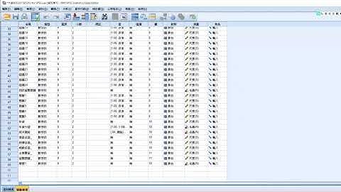 一夜。統計學：SPSS名義尺度轉換為虛擬變數的傳統方法