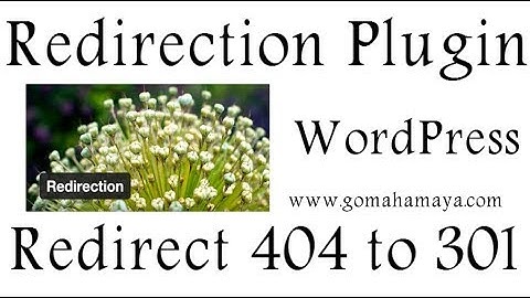 Redirection WordPress Plugin | Redirect visitor from 404 to 301