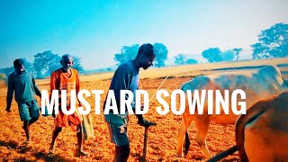 Mustard Seeds Sowing||Vlog||Cyril Ekka||