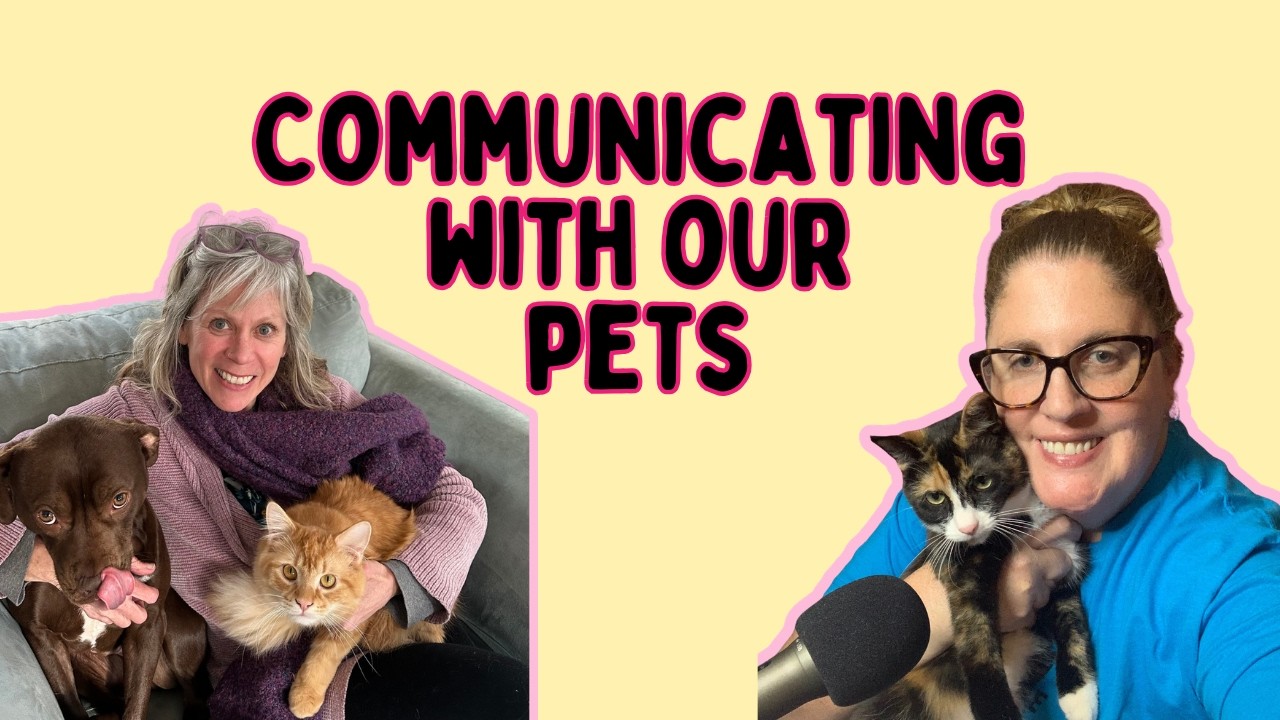 Animal Communication, Rescue Dogs, and Listening to What Pets Really Need Animal Communication, Rescue Dogs, and Listening to What Pets Really Need