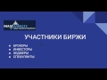 Обучение форекс. Производные финансовые инструменты Классификация участников биржи