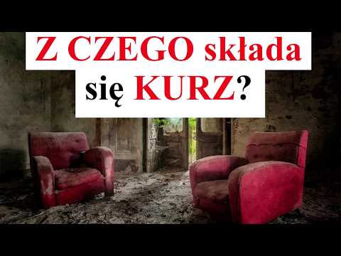 Wideo: Z Czego Składa Się Kurz?