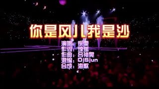 徐雯 《你是风儿我是沙》DjSjun FunkyHouse  KTV 导唱字幕 （备有伴奏视频）