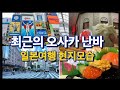 일본여행 무비자 입국전 오사카 최근모습. 일본현재상황 보여드려요