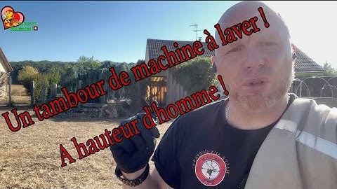 Enorme et impressionnant nid de frelons Asiatique à hauteur d'homme #gravigny