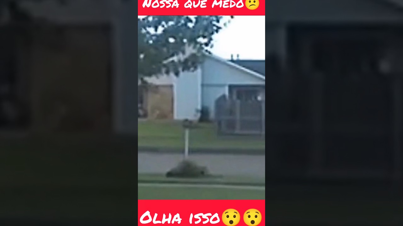 vulto negro tenta invadir uma  casa em plena luz do dia. 