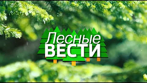 Лесные вести: школьные лесничества