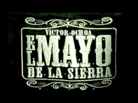 El Mayo De