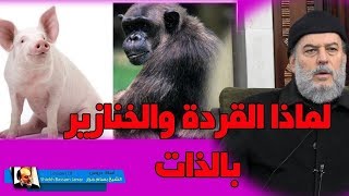 الشيخ بسام جرار |  تفسير عجيب لقصة مسخ اليهود الى قردة وخنازير