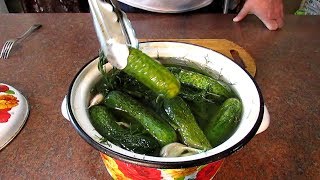 Малосольные огурцы, быстрый рецепт. Готовим 3 МИНУТЫ, едим через 12 часов / Мужские закуски Малосольные огурцы, быстрый рецепт. Готовим 3 МИНУТЫ, едим через 12 часов / Мужские закуски