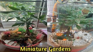 Miniature garden ideas,#sjhomestelugu,Mini Garden