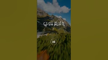 ياسر الدوسري - سورة النبأ - تلاوة خاشعة