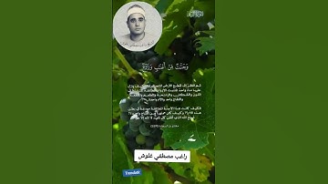 "حين يبكي الصوت.. تلاوة خاشعة للشيخ راغب مصطفى غلوش"