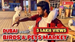 Dubai birds and pets market! Largest pets market in dubai | Tamil