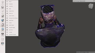 Kinect|ReconstructMe|Meshmixer|Repairs|Color