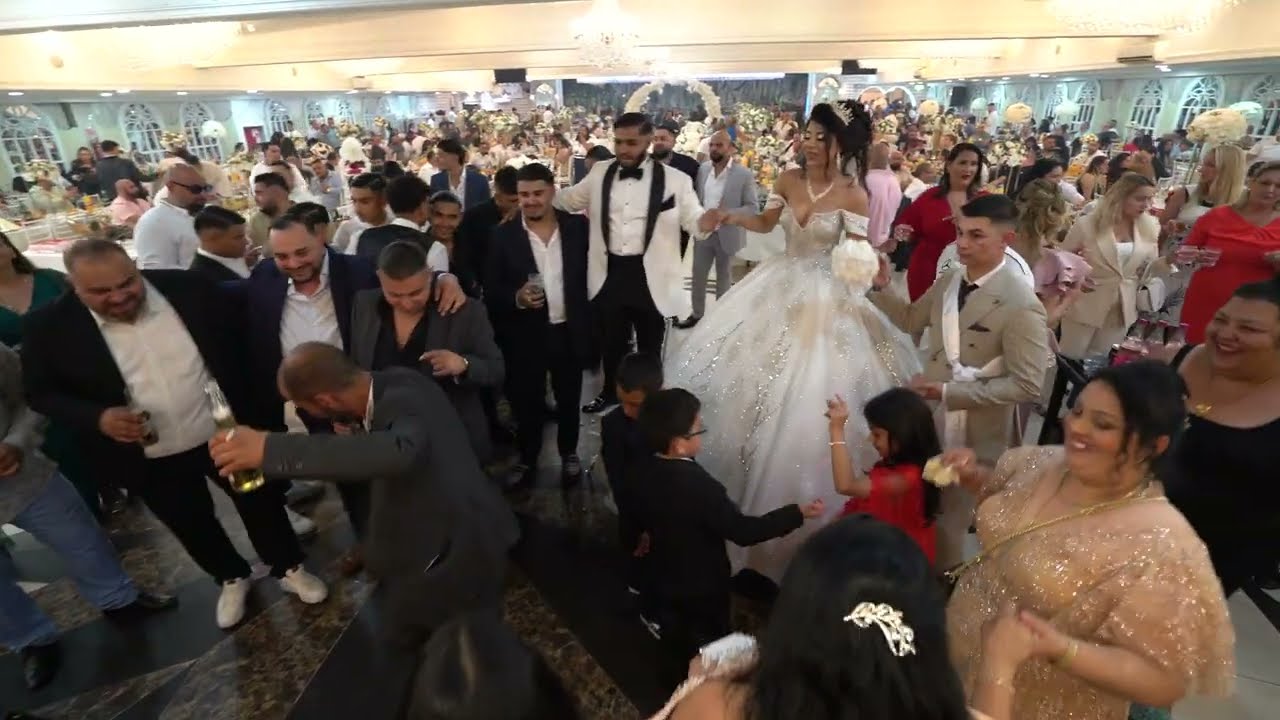 Veselje kod familije Beganovic Zarko i Ljiljana - DJANI, JANA, KAZANOVA ACERGAR Hamburg 7 deo