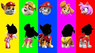 Wrong eyes👀 PJ Masks, Sonic, Pav Patrul challenge DAME TU COSITA Funny Puzzle Wrong Heads
