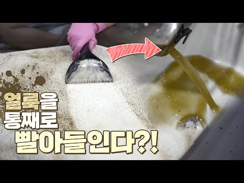 카페트, 쇼파 얼룩이 말끔하게 지워질까? 스팟클린 습식청소기를 사용해보았습니다.