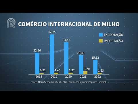 Agroexport | Brasil deve exportar mais de 30 milhões de toneladas de milho em 2022 | Canal Rural